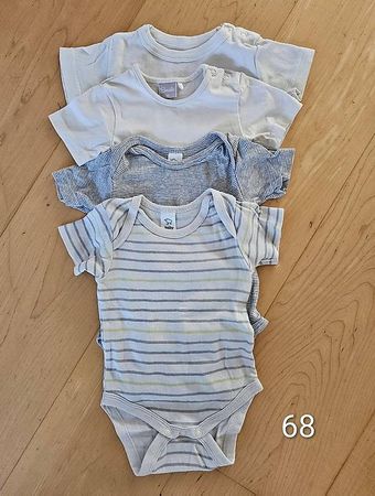 Body 68