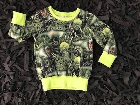 Dinosaurier Pullover Gr. 74 NEU