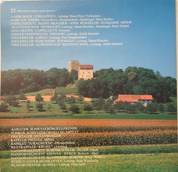 Dischi in vinile: Volkstümlicher Aargau (LP) – Usato da Grüningen venduto da azulmarron 4