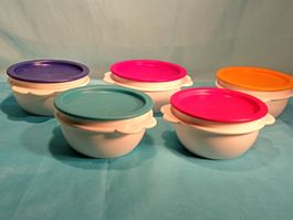 5 kleine Tupperware Schüsseln, 5 Farben, je 4dl