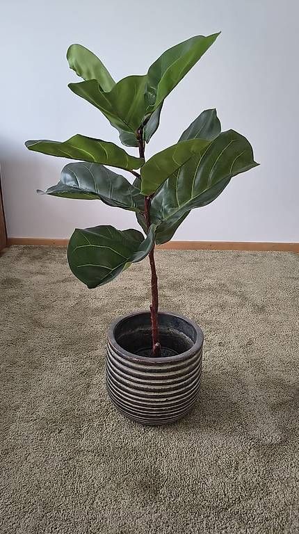 Alle Dekorationen: Kunstpflanze mit dekorativem Blumentopf – Gebraucht aus St. Gallen von dominik.meyer00