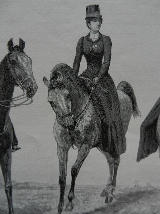 Stiche: Pferde Reitsitze – Gebraucht aus Risch von Rischli15 9