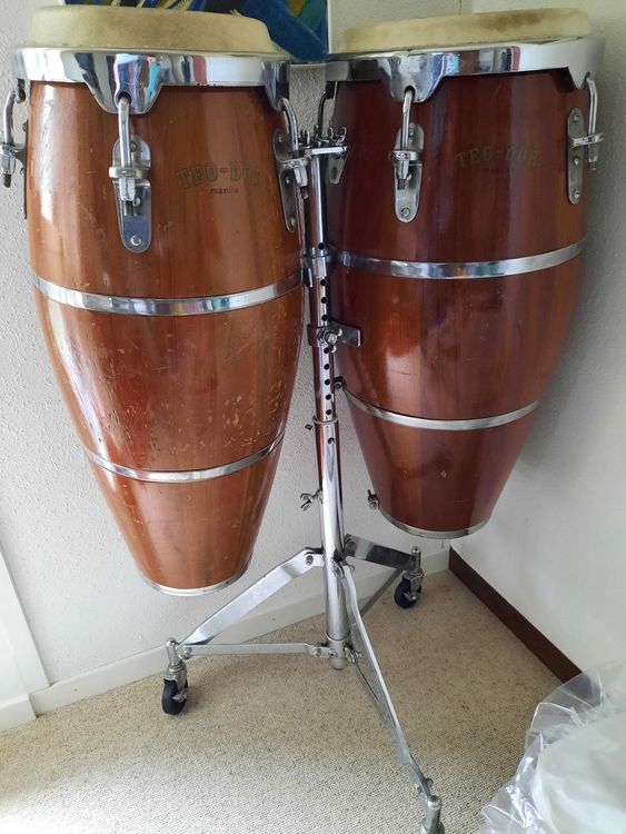 2 Congas mit Ständer und Tragtasche Kaufen auf Ricardo