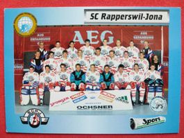SC RAPPERSWIL JONA TEAM CARD - 1993/94
