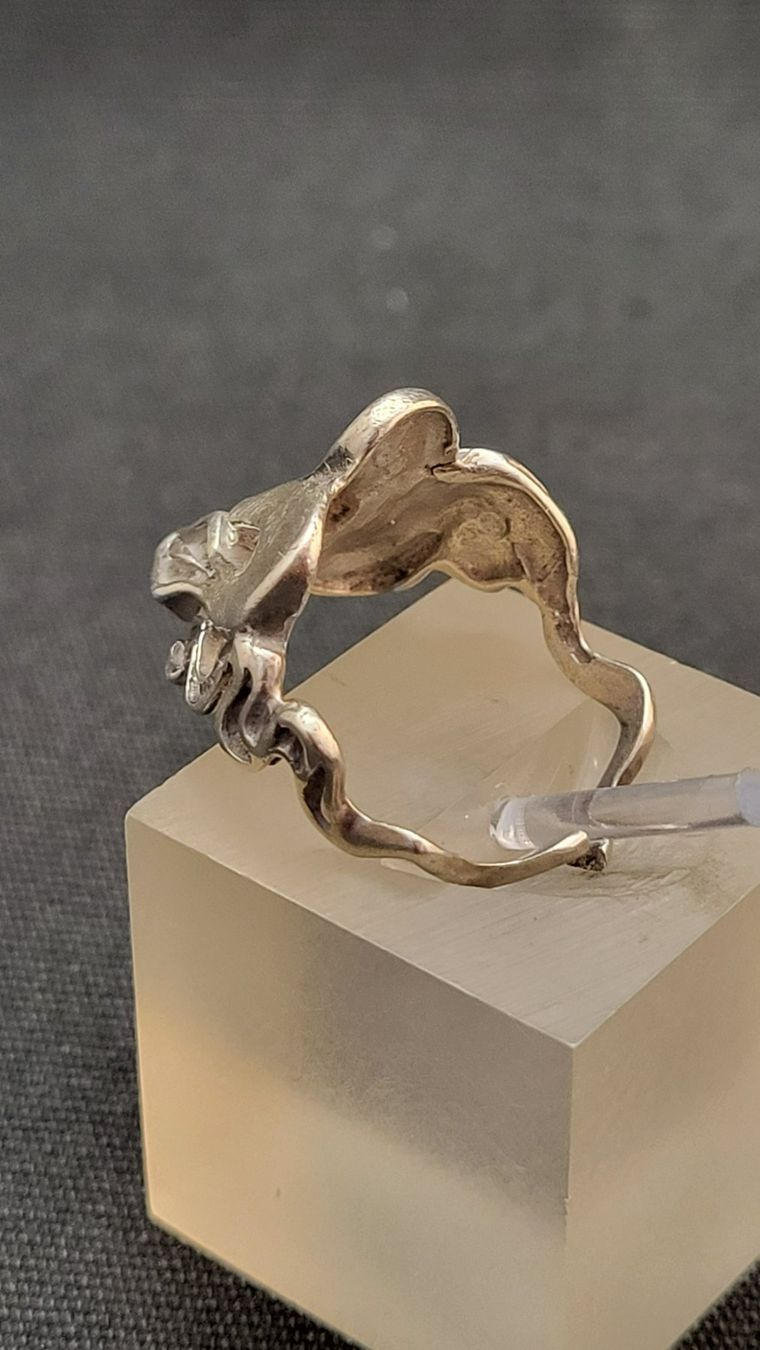 Anelli: Schlangen-Ring aus Silber 925 – Usato da Basel venduto da spinne02 3