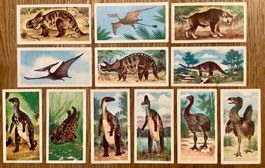 1972 - 12 Vintage DINOSAURIER Sammelbilder England