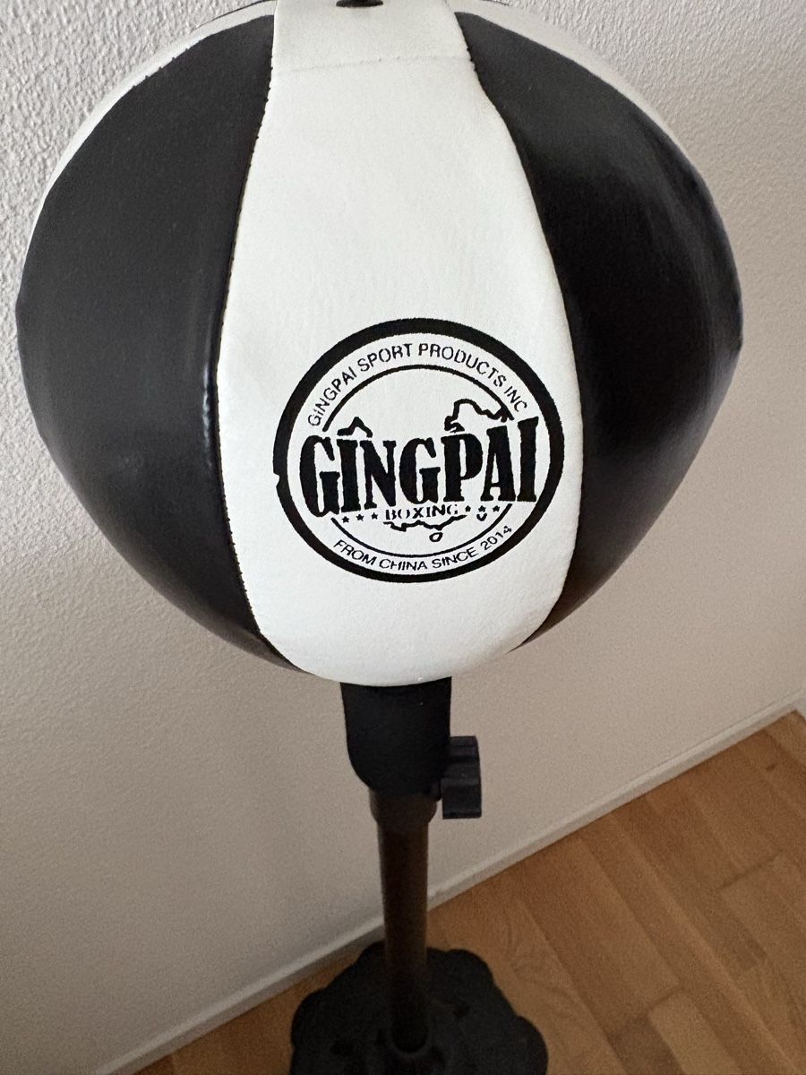 Sacchi da boxe: GINGPAI Punchingball – Usato da Büron venduto da Flor2009 1