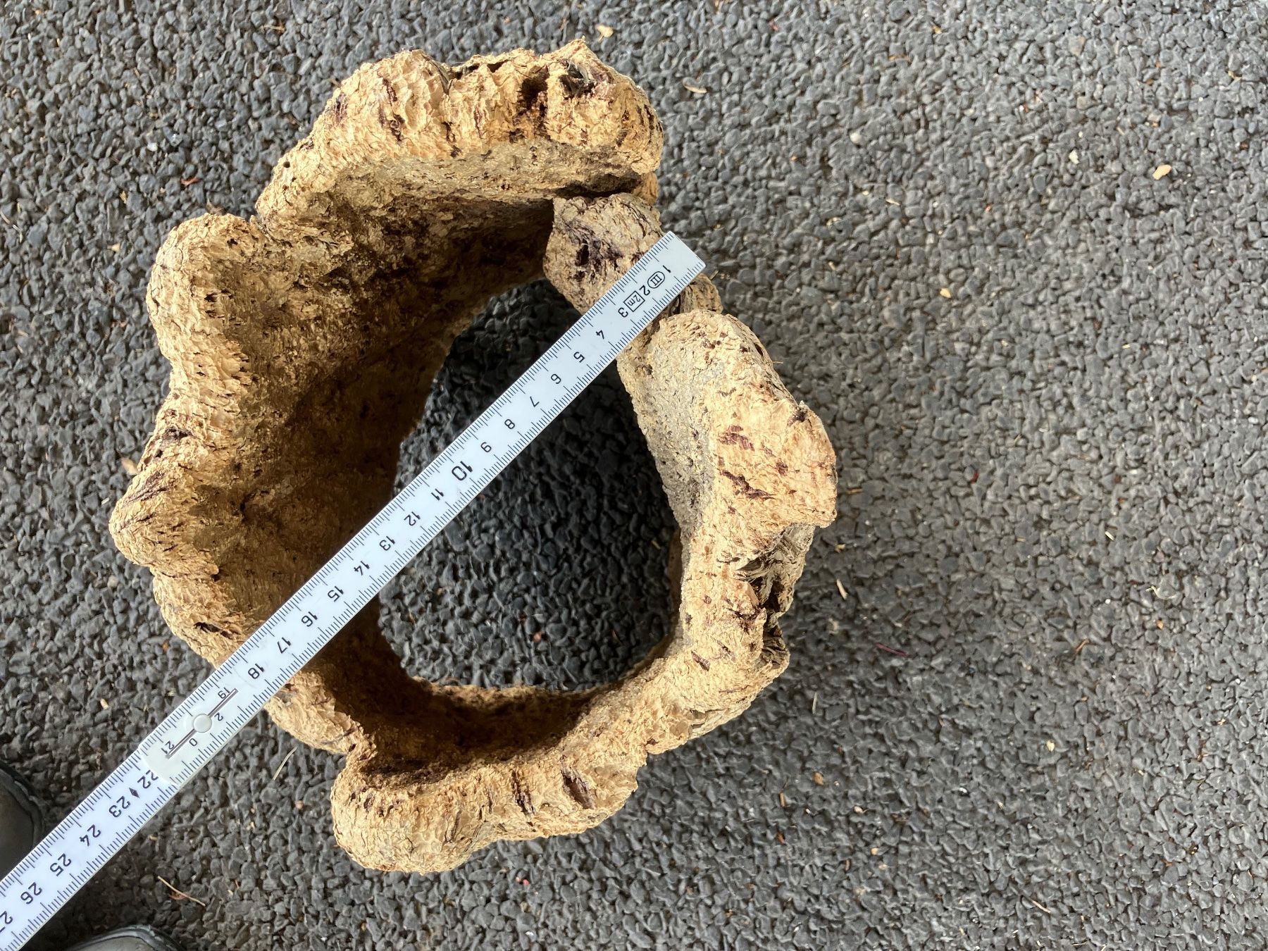 Mangimi: Korkrohr für Kleintiere – Usato da Kriens venduto da rabe010 3