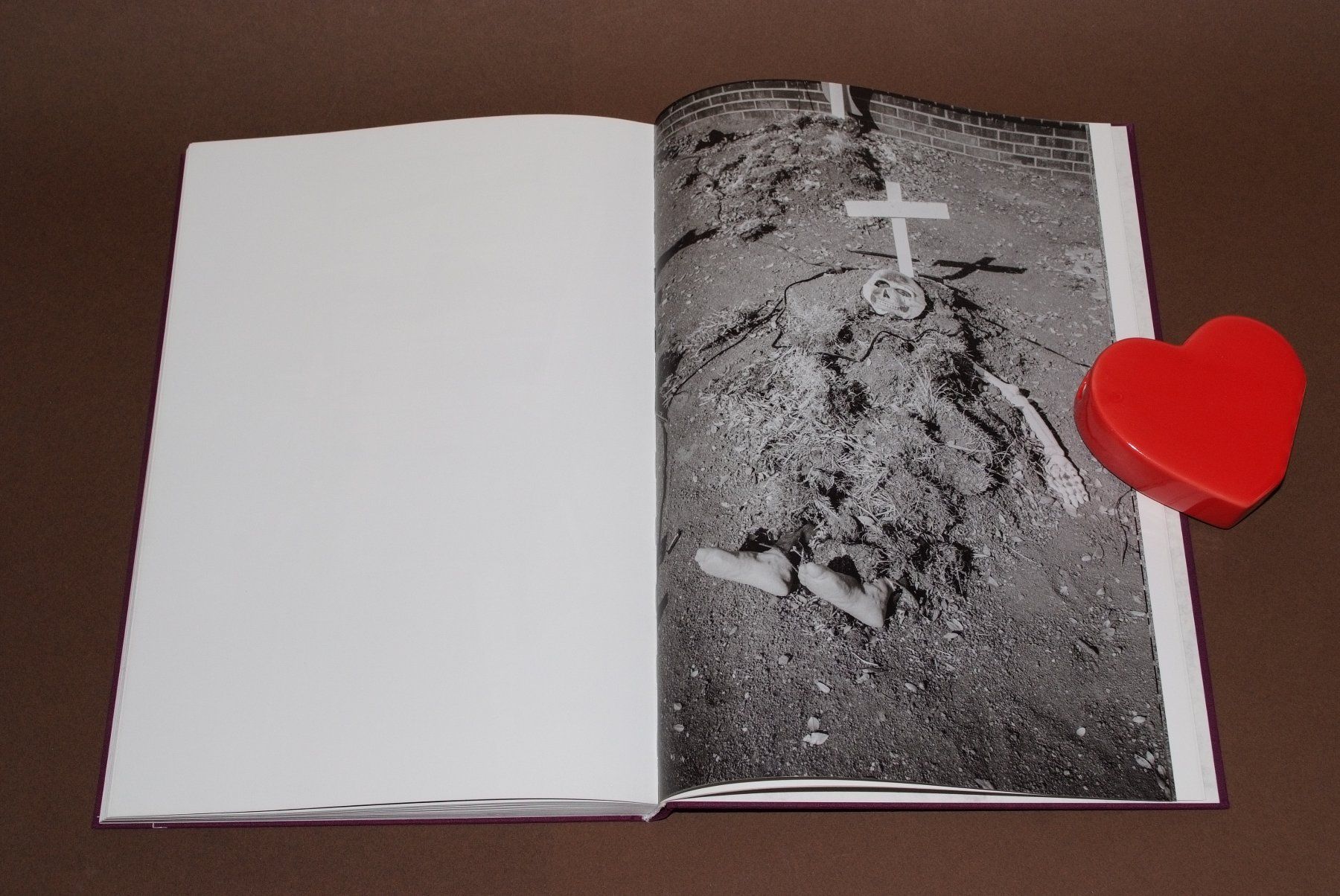 Libri: Cameron Jamie - Front Lawn Funerals #Horror #Halloween – Usato da Aarau venduto da Pearlz 2
