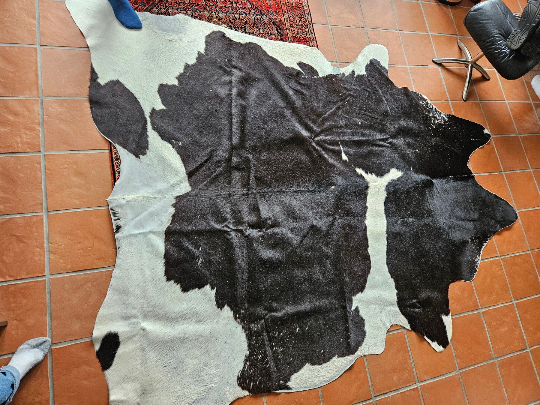 Teppiche: Kuhfell – Gebraucht aus Hünenberg von lexli06