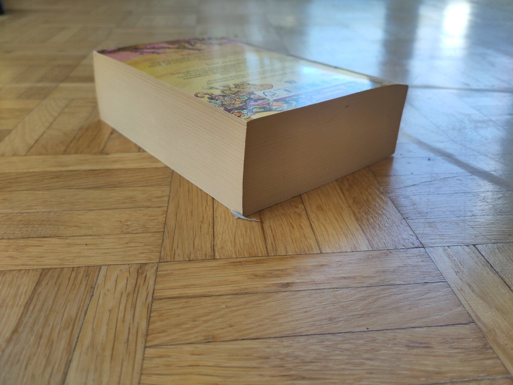 Libri: Rollende Steine & Echt zauberhaft, Terry Pratchett – Usato da Zürich venduto da lb_z58n 3