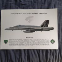 Staffelprint Fliegerstaffel 18 F/A-18 Schweizer Luftwaff