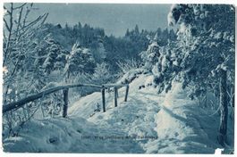 Weg Uetliberg-Albis-Felsenegg im Schnee, um 1925
