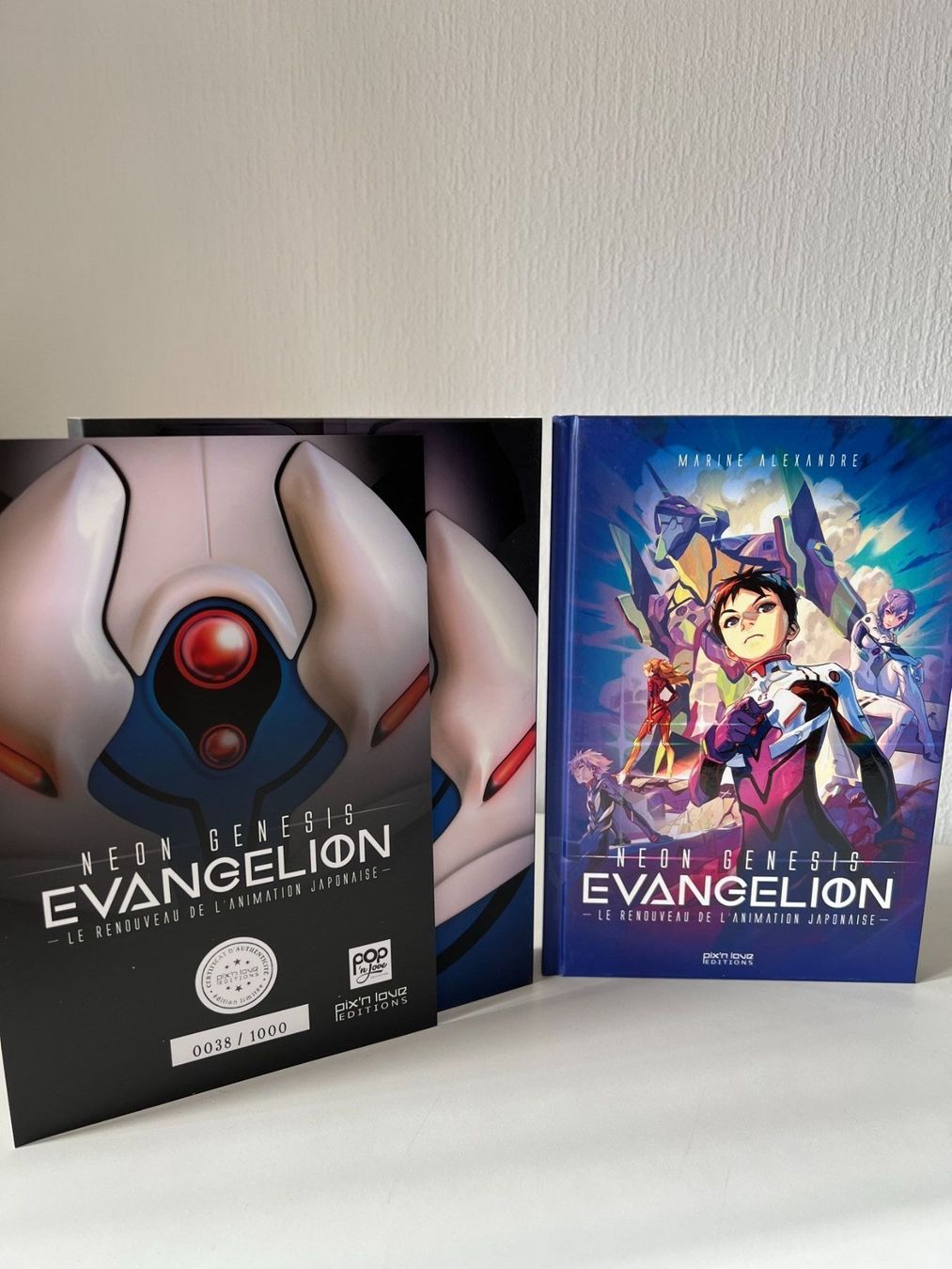Libri: Neon Genesis Evangelion - NERV Edition – Nuovo e nell'imballaggio originale da Renens VD venduto da Quedex69