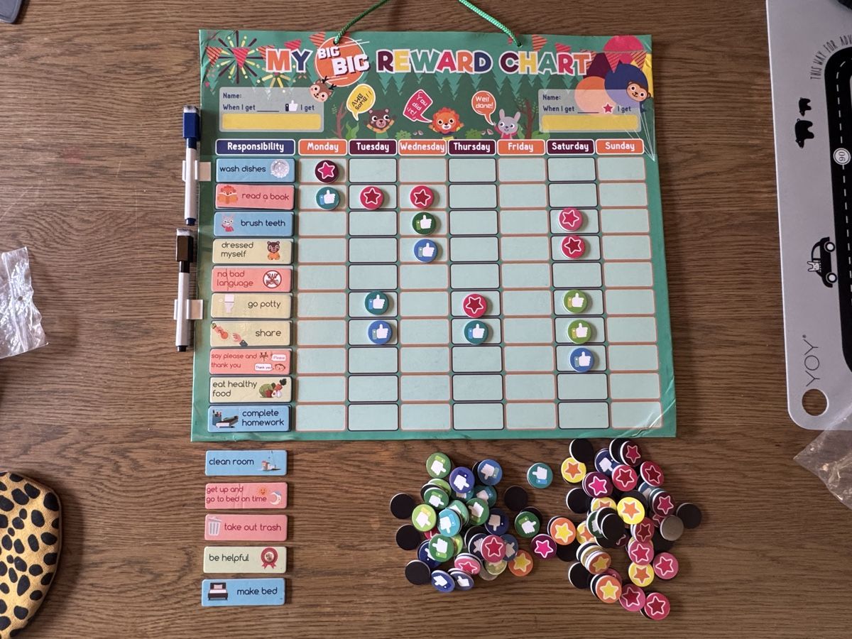 Giochi: Belohnungstabelle Motivationstafel mit Magneten! – Usato da Buchs ZH venduto da crazyhandbaggirl123 1