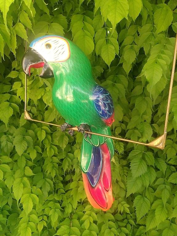 Tutte le decorazioni: Perroquet sur son perchoir – Usato da Neuchâtel venduto da SyMil 1