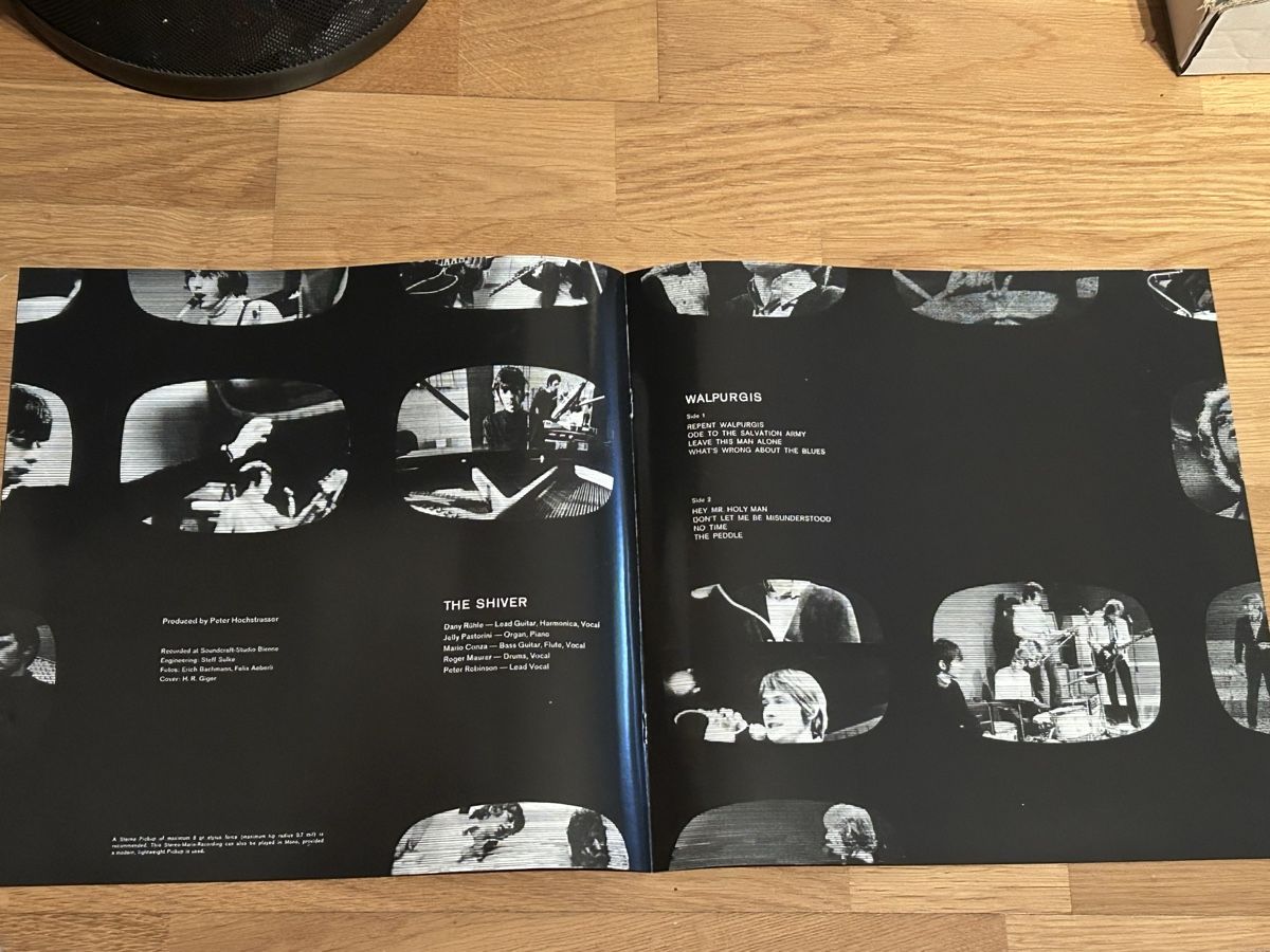 Dischi in vinile: Shiver. 2017. Limited Edition Numbered 492/1000 – Usato da Faulensee venduto da Mizuno06 4