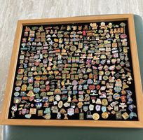 PIN (ANSTECKPIN/ EMAILLE PIN) SAMMLUNG INKL RAHMEN