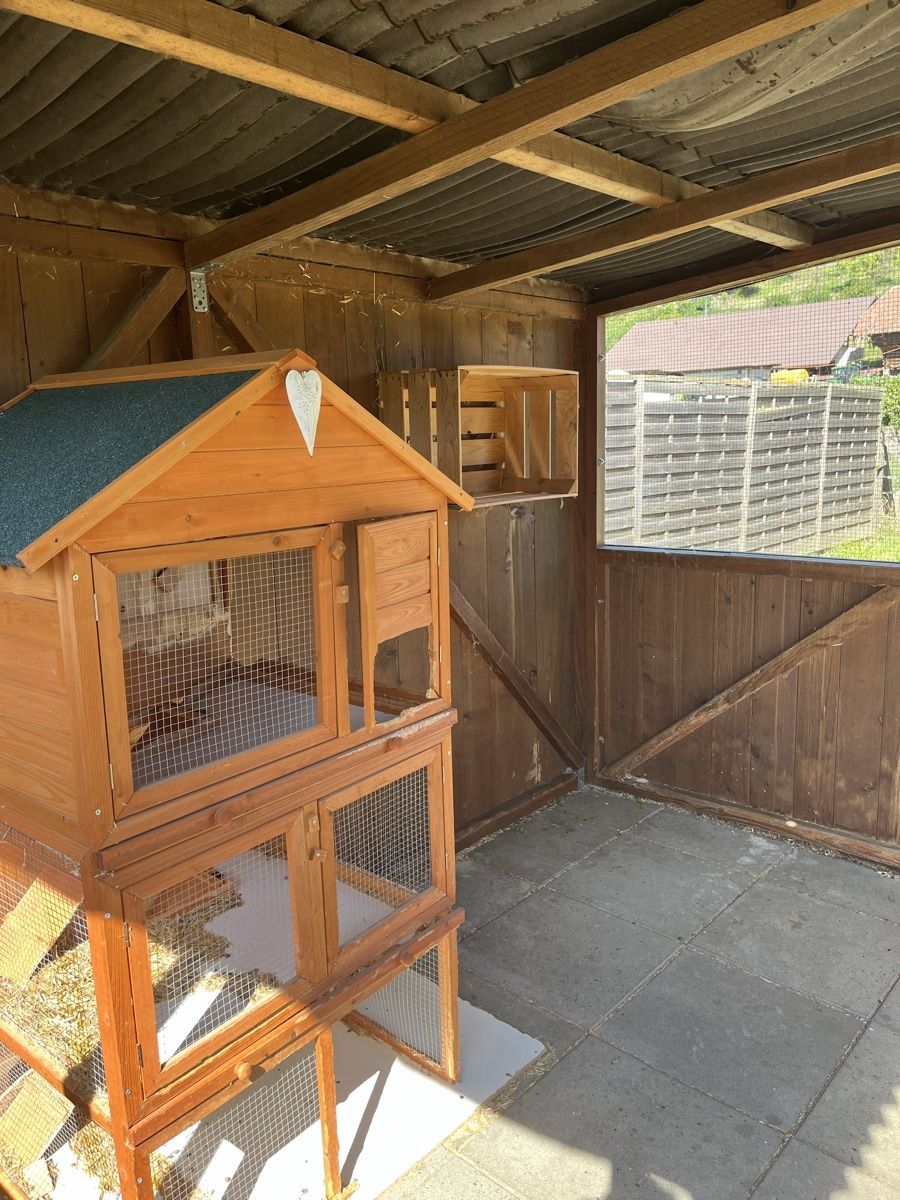 Cages, transport & sécurité: Kleintierstall – D'occasion à Wynigen par steve106 3