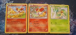 Pokemon Fates Collide Card Lot FR