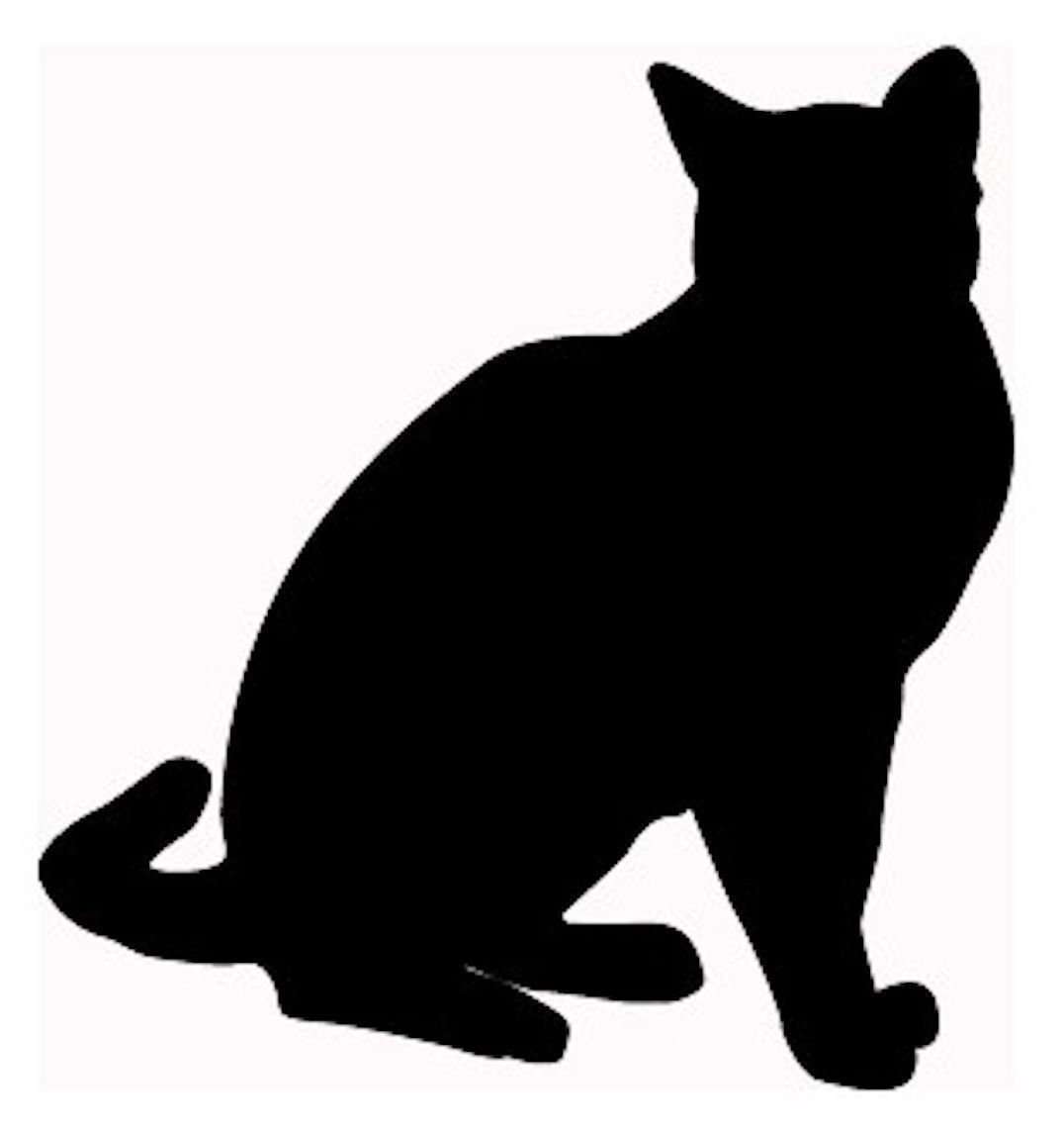 Sticker: Sitzende Katze Aufkleber Top Angebot – Nuovo (secondo la descrizione) da Aarau venduto da Foruschweiz
