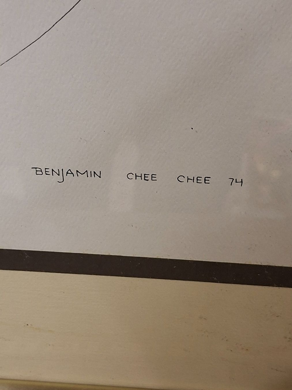 Tableaux: Benjamin Chee , Vögel, 1974, Top Zustand – D'occasion à Schaffhausen par meteor7 6