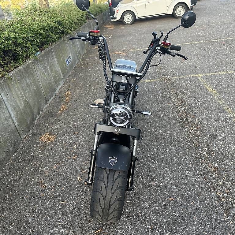 Elektromobile: Elektro Scooter  – Gebraucht aus Reinach BL von pan_pjc6 1