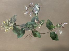 Stilleben 1878
