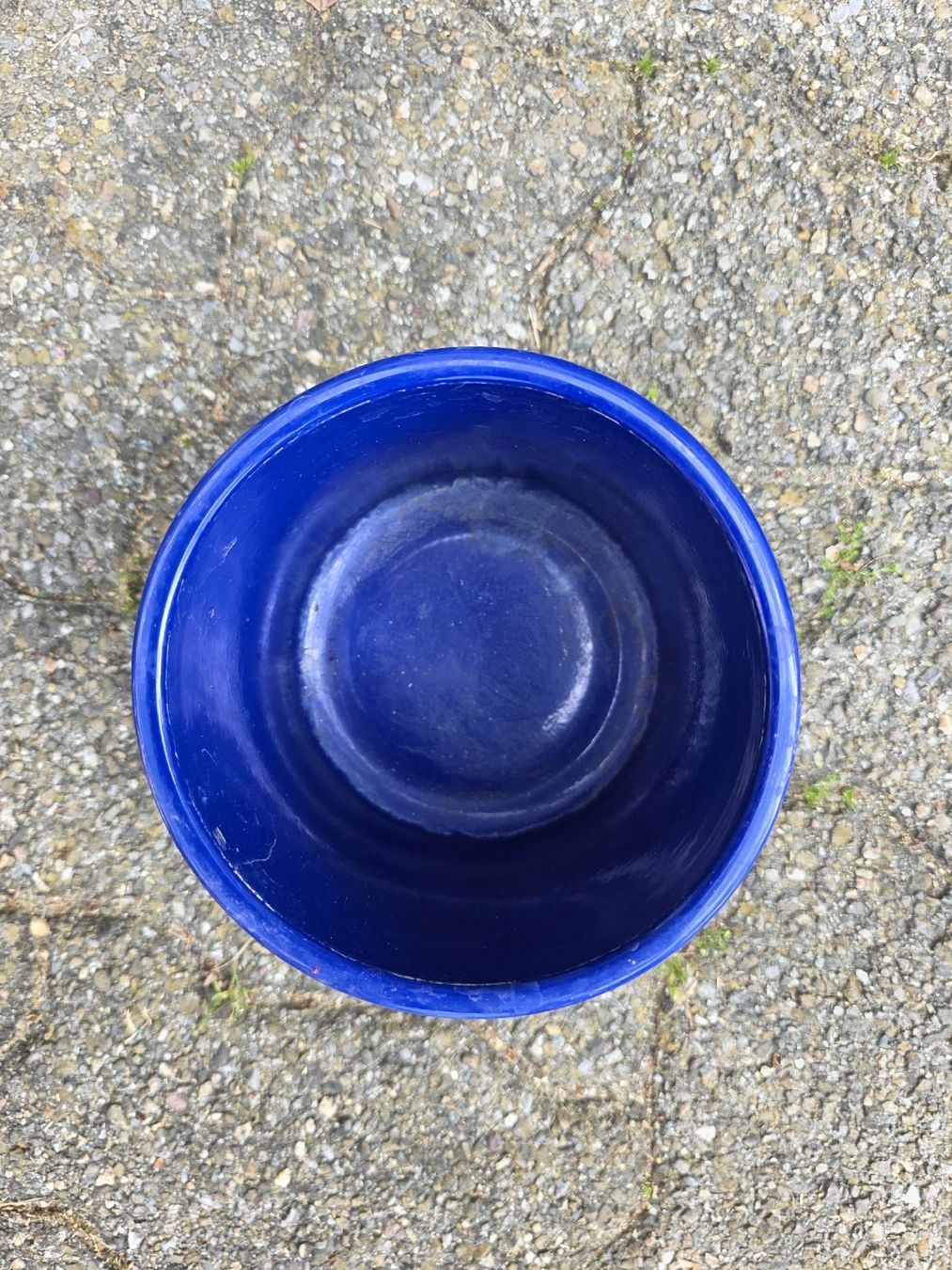 Vasi per fiori: Blue Ceramic Pot. – Usato da Hinwil venduto da Ehretstock8 1