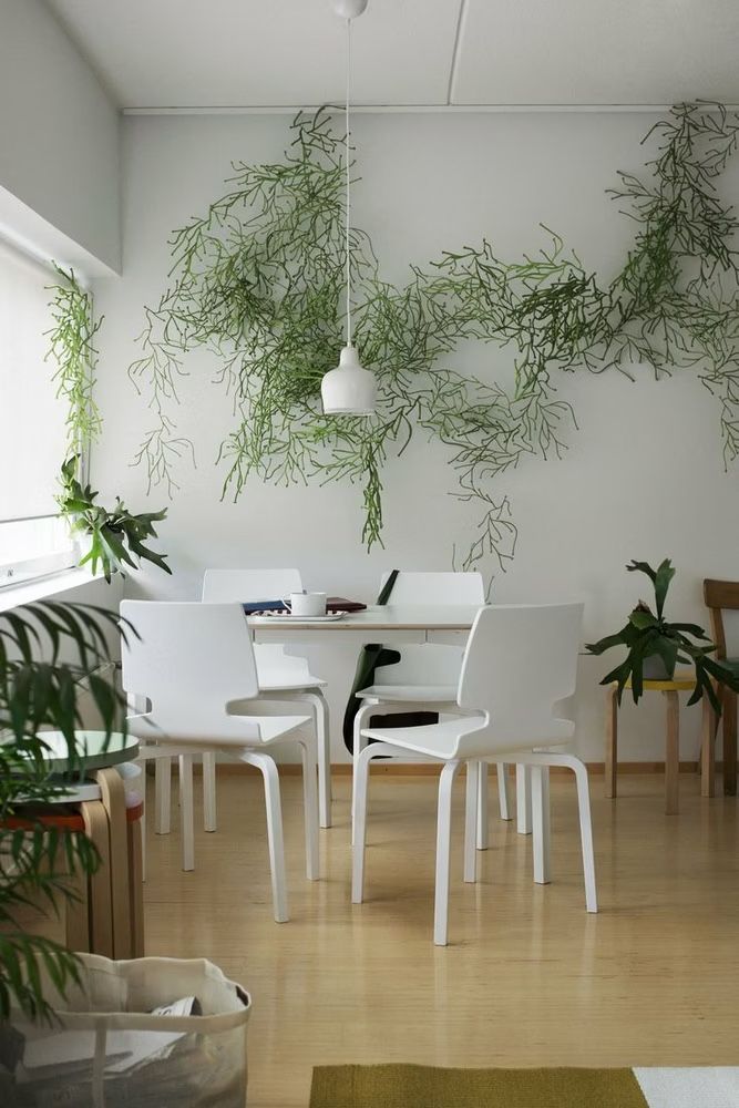 Vitra Tutte le decorazioni: Vitra Algues Raumteiler Designklassiker – Usato da Zürich venduto da helmut013 1