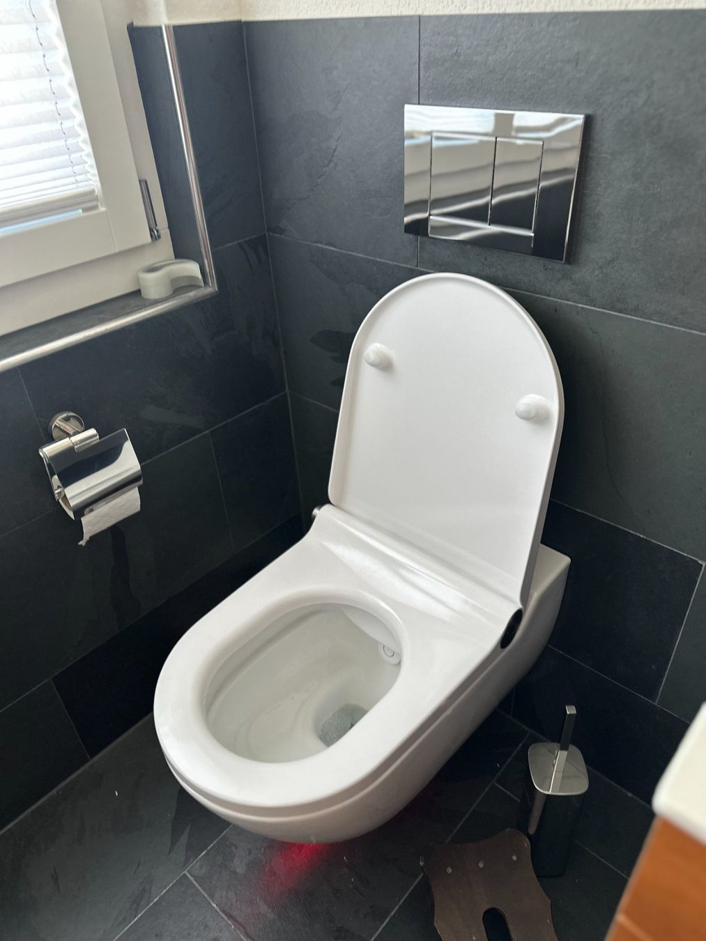 Laufen WC: Laufen Dusch-WC – Gebraucht aus Nürensdorf von abusab 1