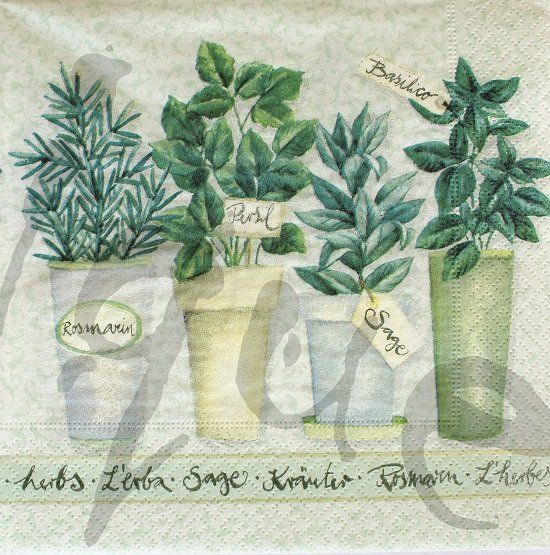 Tovaglioli: Serviette kräuter (d73) 2Stk. – Nuovo (secondo la descrizione) da Schlatt TG venduto da kreativ-atelier