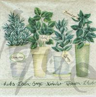 Serviette kräuter (d73) 2Stk.