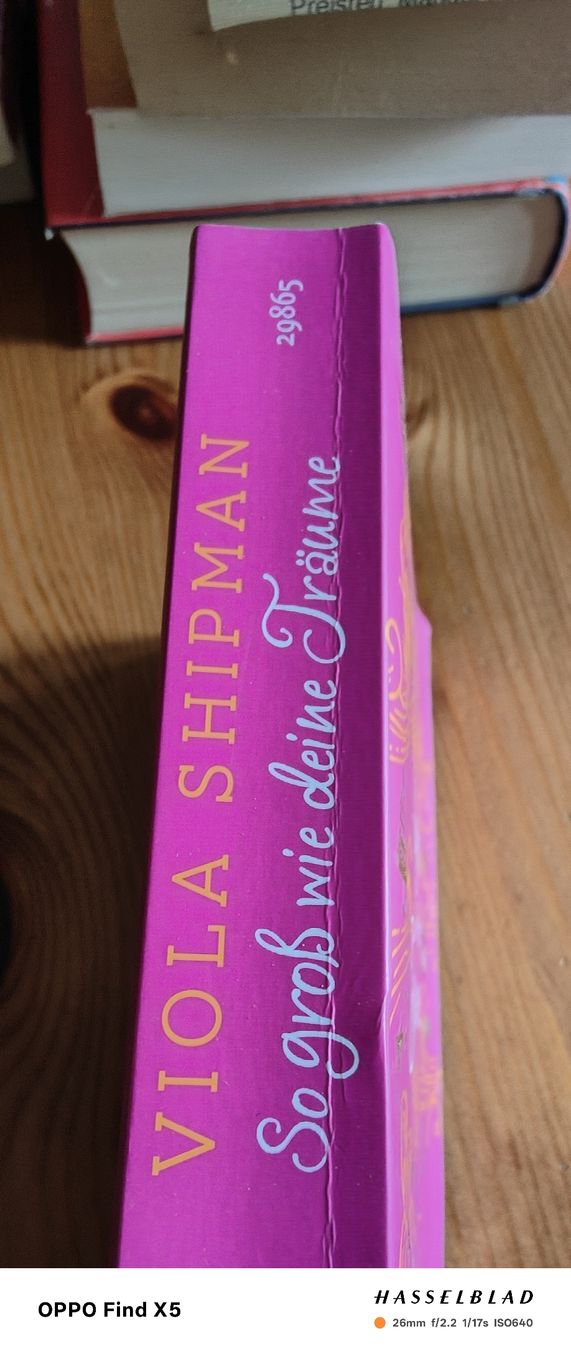Libri: So gross wie Deine Träume – Usato da Volken venduto da katz5 1