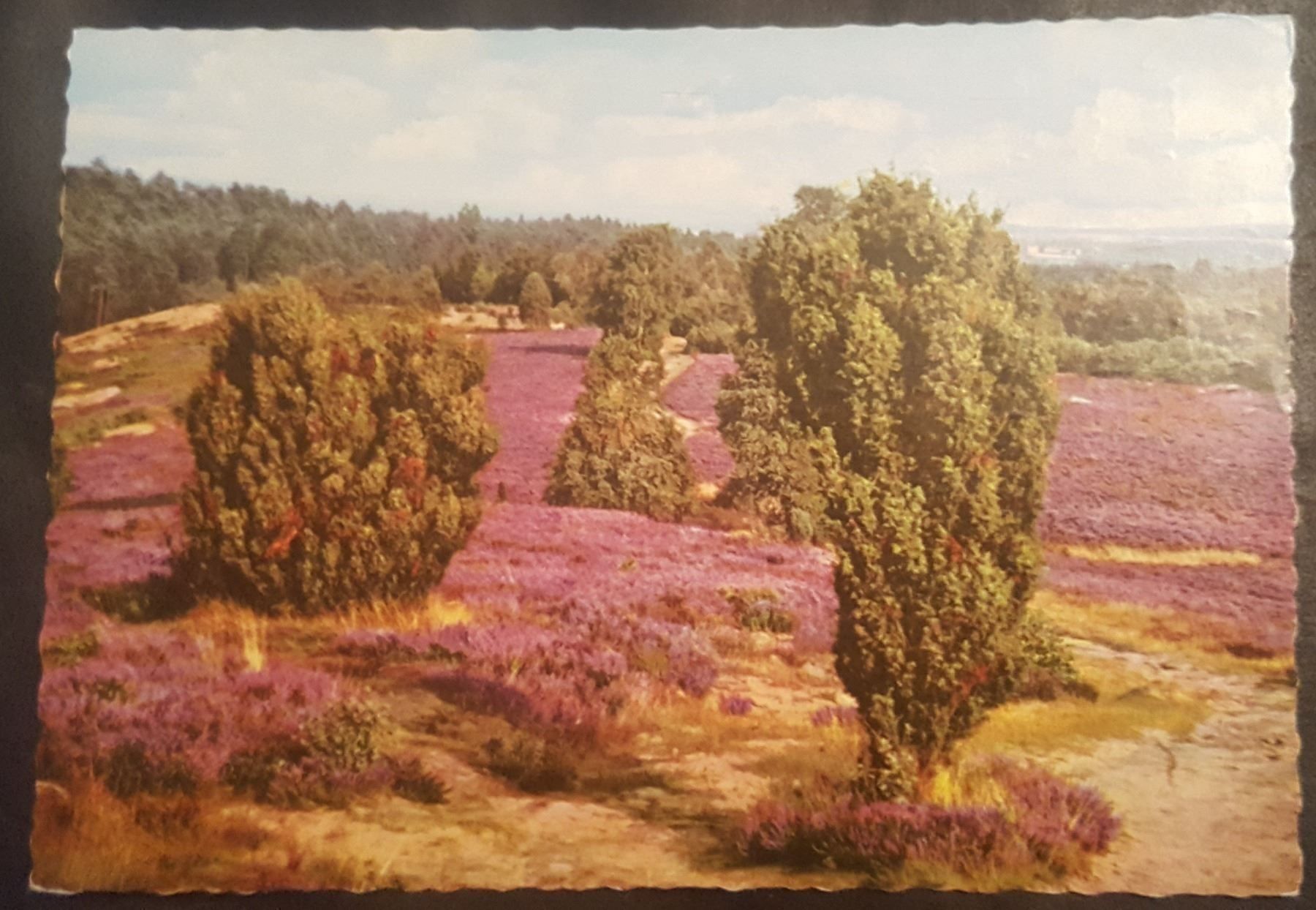 Cartoline postali: sehr alte Ansichtskarte "Heide" – Usato da Melchnau venduto da Fishel