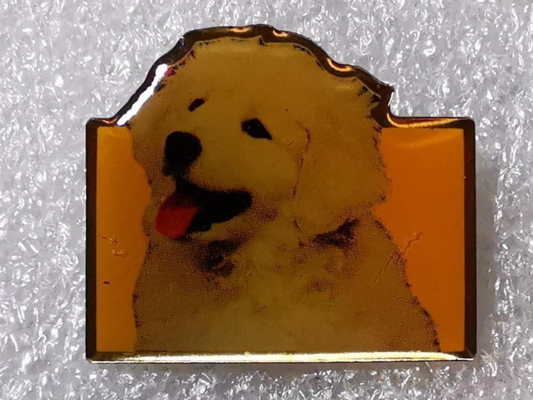 Placchette & Badge: Ansteckpin 74: Pedigree – Usato da Oppligen venduto da Pin-Fall-Shop