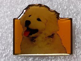 Ansteckpin 74: Pedigree