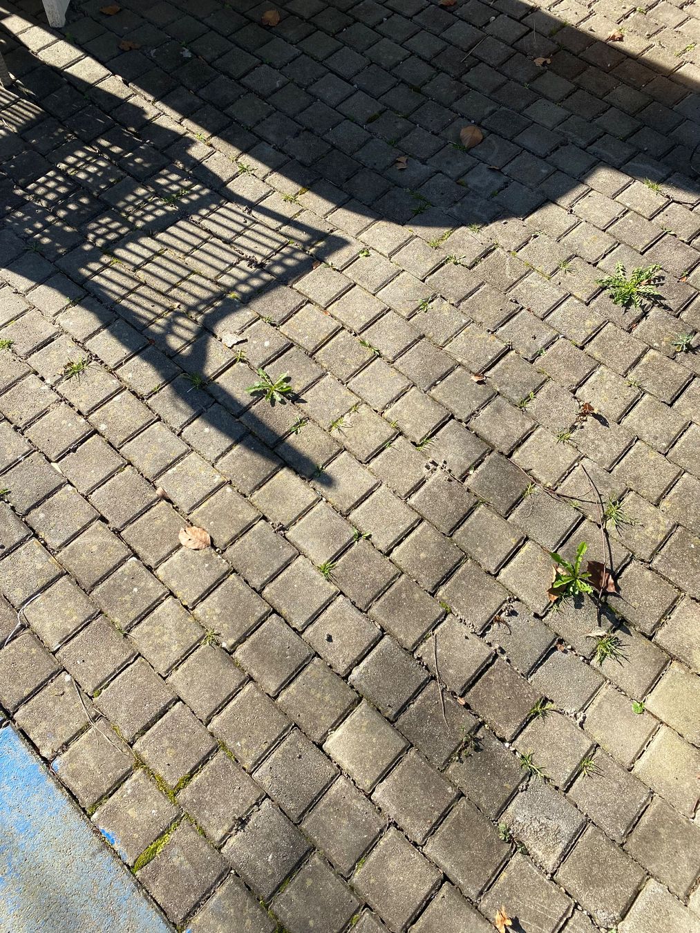 Pietre & tegole: Beton Pflastersteine – Usato da Solothurn venduto da wulli10 2