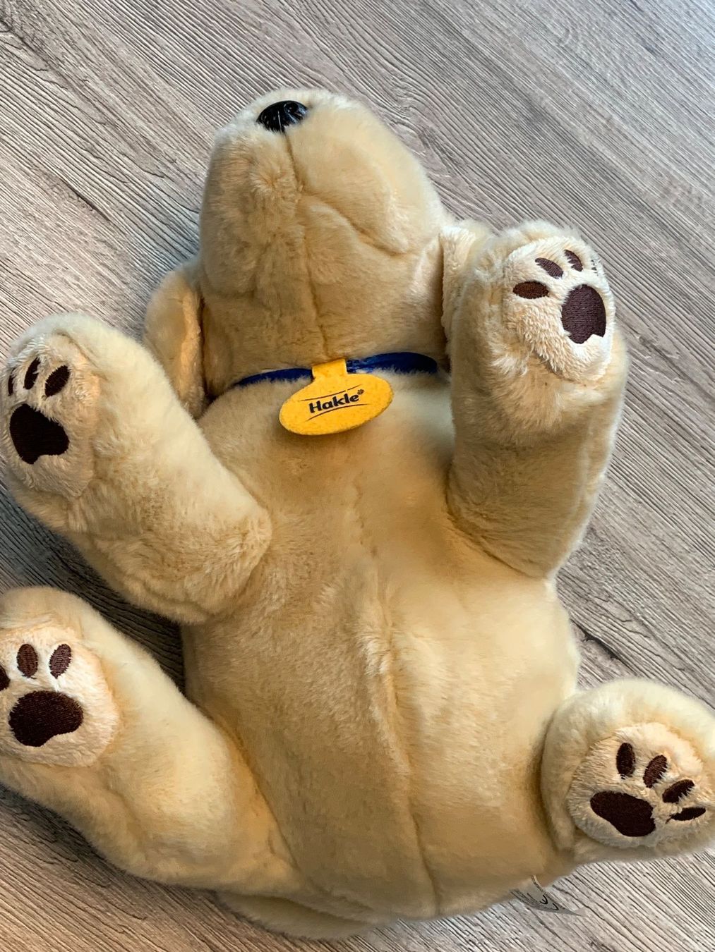 Giocattoli: Plüschhund – Usato da Langenthal venduto da Brunnbach 2