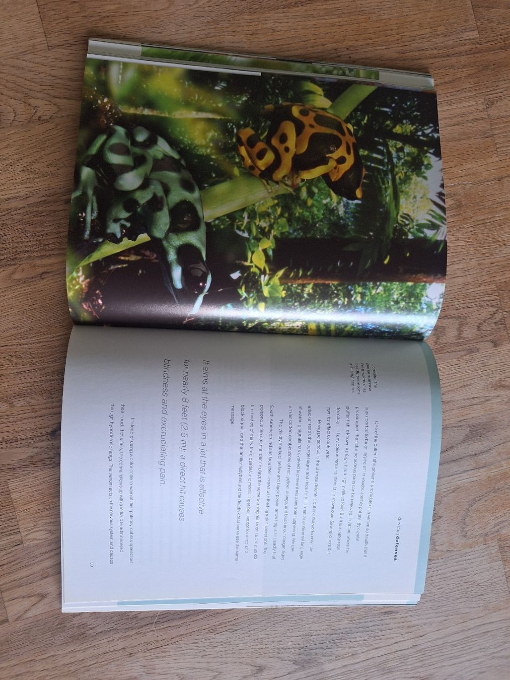 Libri: Weird Nature - John Downer  – Usato da Ipsach venduto da nik_6hkj 1