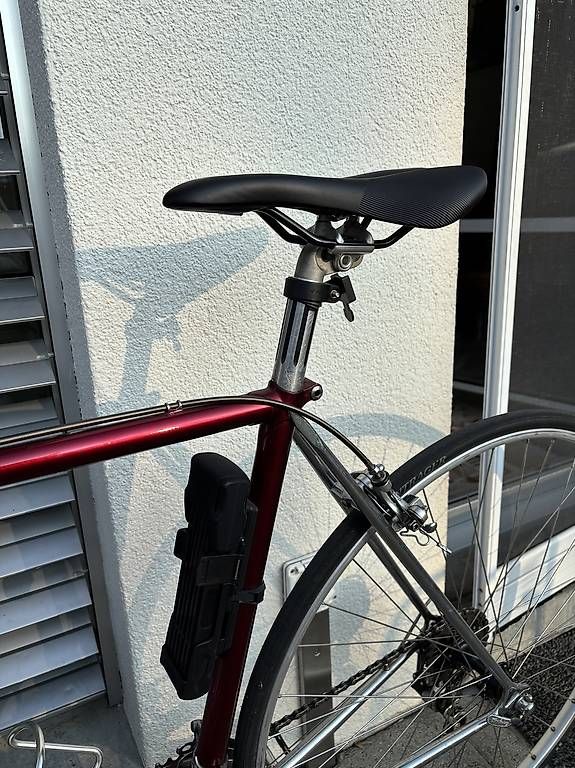 Campagnolo Velos: Moser Rennvelo 50cm Rahmengrösse – Gebraucht aus Bern von nur_m8pg 2
