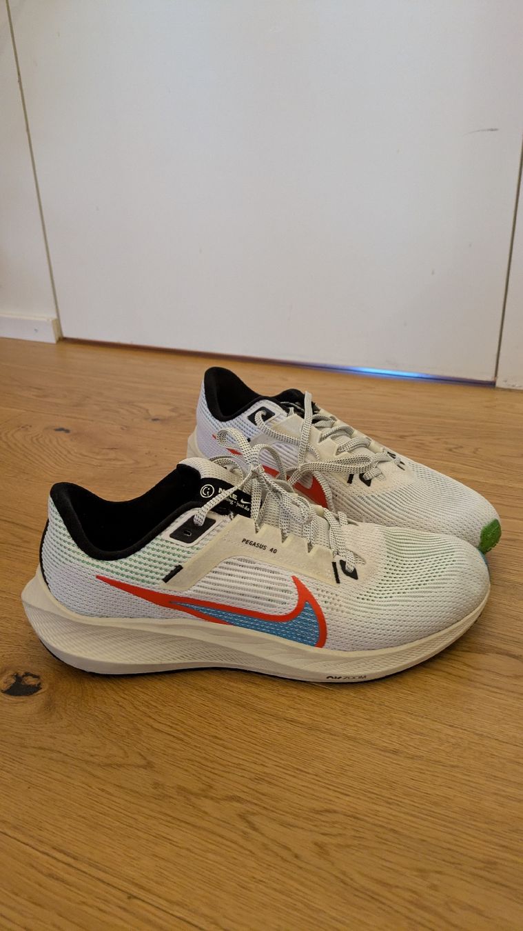 Nike Scarpe da uomo: Nike Air Pegasus 40 Gr. 45 – Usato da Zürich venduto da Ge8 1