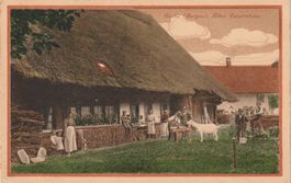 Buchs Bauernhaus mit Strohdach