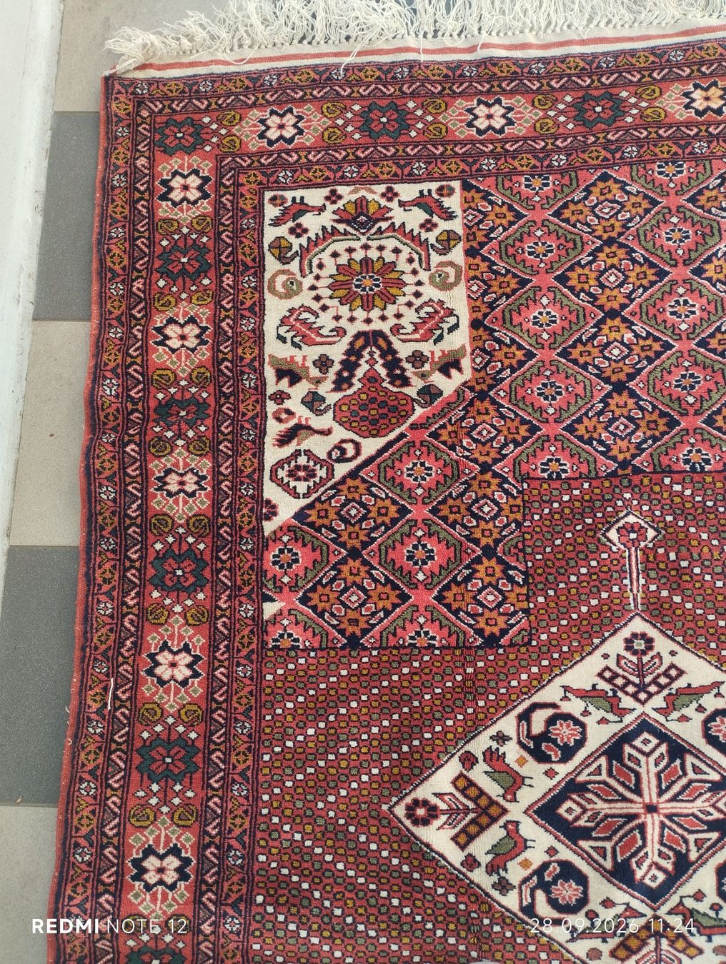 Tapis: Orientteppich mit traditionellem Muster gebraucht – D'occasion à Rorschacherberg par Giova1922