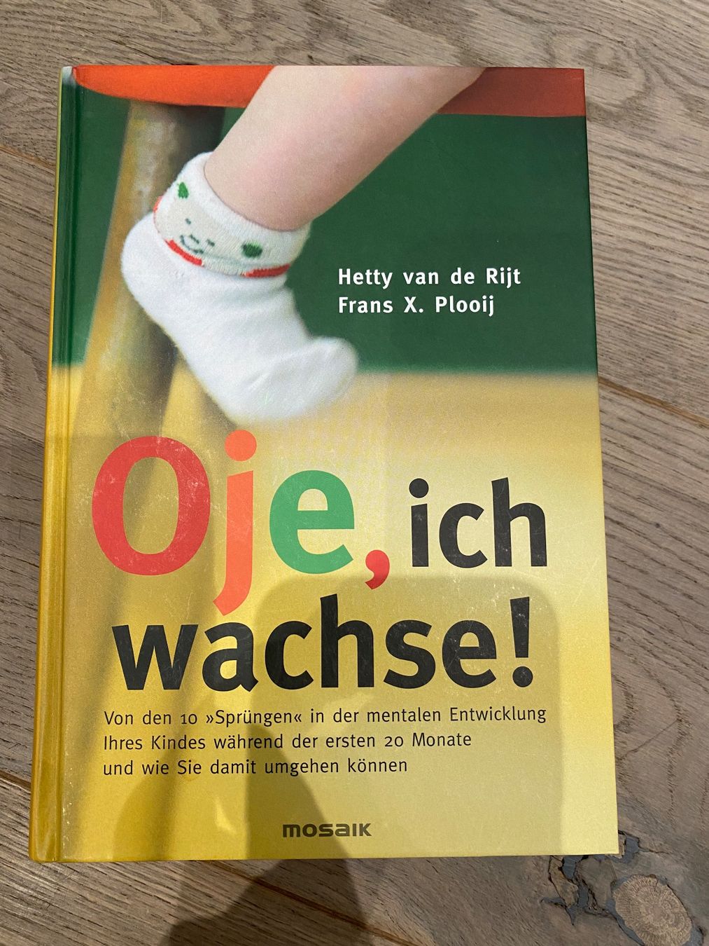 Libri: Neuwertiges Buch – Nuovo (secondo la descrizione) da Kilchberg ZH venduto da TanniTanni