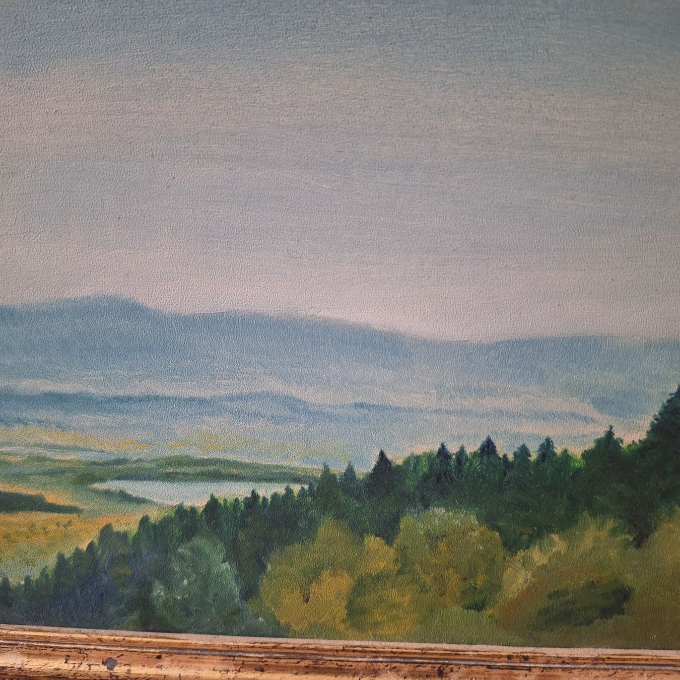 Poster & Bilder: Älteres, gemaltes Bild "Blick auf Greifensee" – Gebraucht aus Winterthur von Goldpipau 2