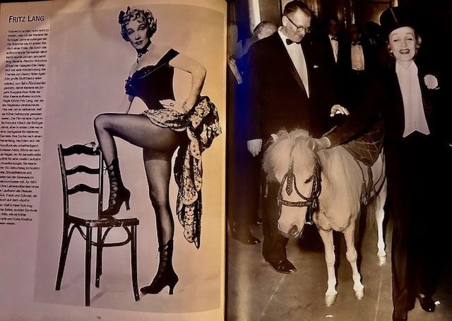 Bücher: Marlene Dietrich - Der Blonde Engel - Eine Bildbiographie – Neu (gemäss Beschreibung) aus Erlinsbach SO von 400_n956 3