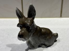Hübsche, kleine Porzellan-Figur eines Scotch Terriers