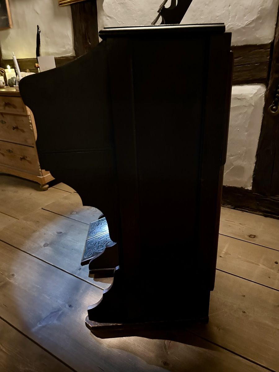 Strumenti musicali: Harmonium Hug & Co. Zürich – Usato da Oberhasli venduto da anzis 3
