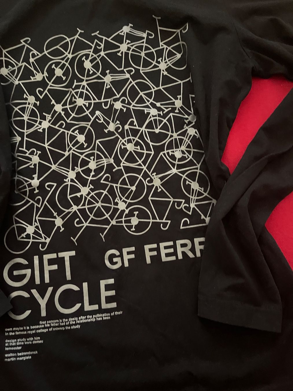 Maglioni & Felpe: Ferre Sweatshirt, Gr.L – Usato da Bolligen venduto da Aquella71 1